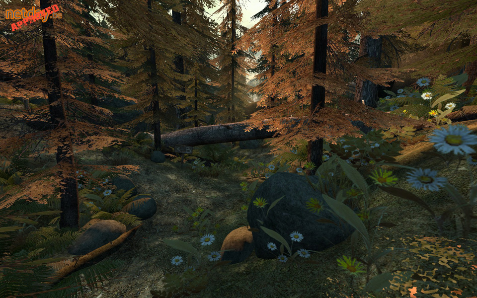 de_forest0001.jpg